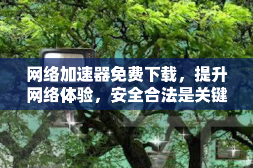 网络加速器免费下载，提升网络体验，安全合法是关键