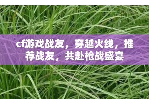 cf游戏战友，穿越火线，推荐战友，共赴枪战盛宴