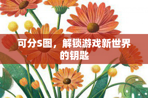 可分S图，解锁游戏新世界的钥匙