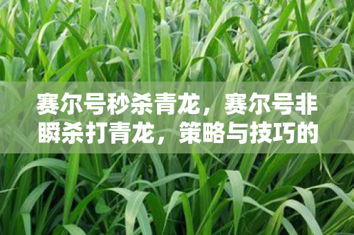赛尔号秒杀青龙，赛尔号非瞬杀打青龙，策略与技巧的深度剖析