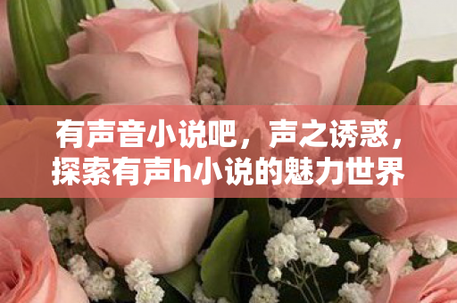 有声音小说吧，声之诱惑，探索有声h小说的魅力世界