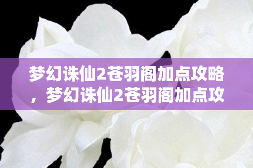 梦幻诛仙2苍羽阁加点攻略，梦幻诛仙2苍羽阁加点攻略，打造最强输出角色