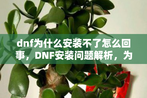 dnf为什么安装不了怎么回事，DNF安装问题解析，为何无法安装及解决方案