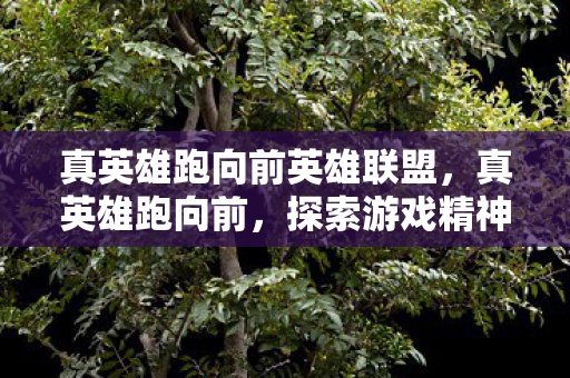 真英雄跑向前英雄联盟，真英雄跑向前，探索游戏精神与自我超越的旅程