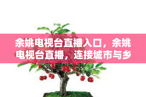 余姚电视台直播入口，余姚电视台直播，连接城市与乡村的桥梁