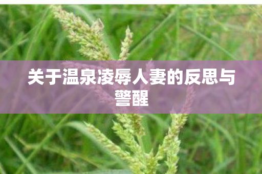 关于温泉凌辱人妻的反思与警醒