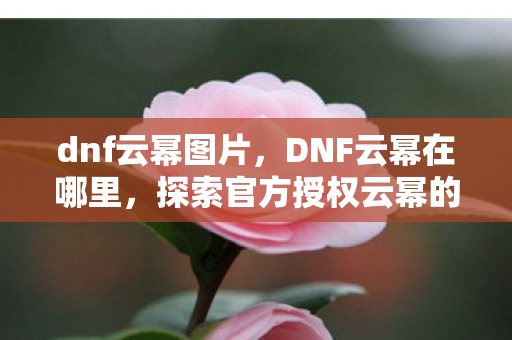 dnf云幂图片，DNF云幂在哪里，探索官方授权云幂的奇妙之旅