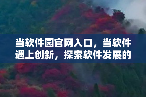 当软件园官网入口，当软件遇上创新，探索软件发展的无限可能