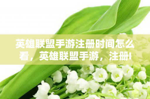 英雄联盟手游注册时间怎么看，英雄联盟手游，注册ID的艺术与策略
