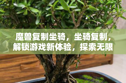 魔兽复制坐骑，坐骑复制，解锁游戏新体验，探索无限可能