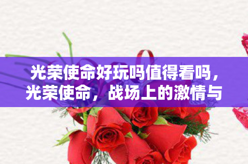 光荣使命好玩吗值得看吗，光荣使命，战场上的激情与策略