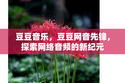 豆豆音乐，豆豆网音先锋，探索网络音频的新纪元