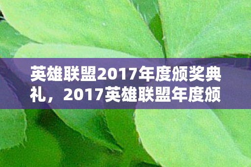 英雄联盟2017年度颁奖典礼，2017英雄联盟年度颁奖盛典，荣耀与梦想的璀璨之夜