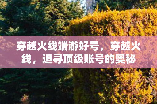 穿越火线端游好号，穿越火线，追寻顶级账号的奥秘