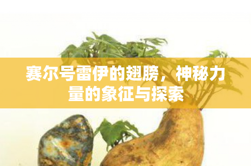 赛尔号雷伊的翅膀,神秘力量的象征与探索 赛尔号雷伊的翅膀,神秘力量的象征与探索