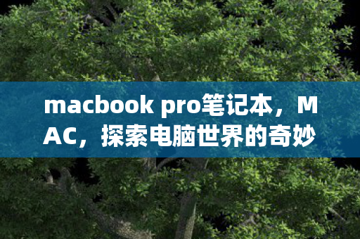 macbook pro笔记本，MAC，探索电脑世界的奇妙之旅