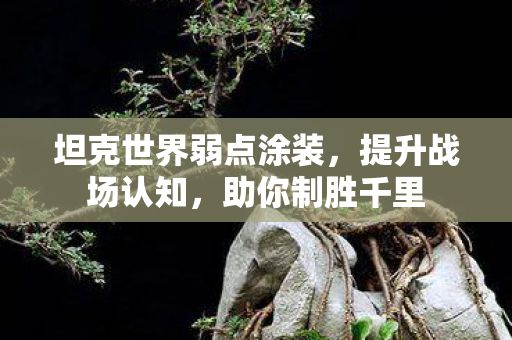 坦克世界弱点涂装，提升战场认知，助你制胜千里
