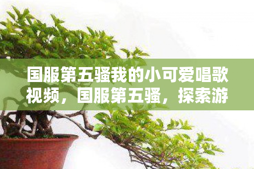 国服第五骚我的小可爱唱歌视频，国服第五骚，探索游戏世界的独特魅力