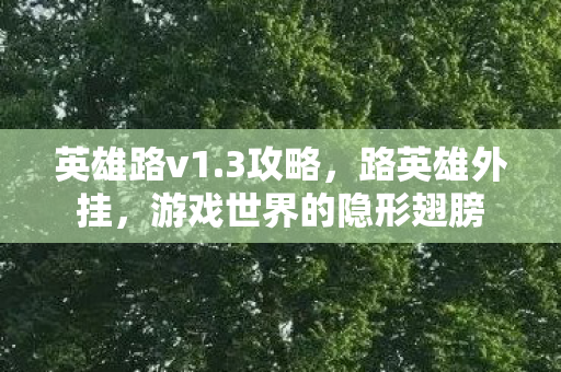 英雄路v1.3攻略，路英雄外挂，游戏世界的隐形翅膀