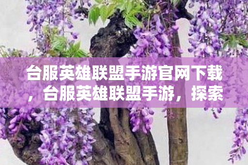 台服英雄联盟手游官网下载，台服英雄联盟手游，探索未知，挑战极限