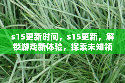 s15更新时间，s15更新，解锁游戏新体验，探索未知领域