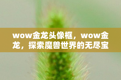 wow金龙头像框，wow金龙，探索魔兽世界的无尽宝藏