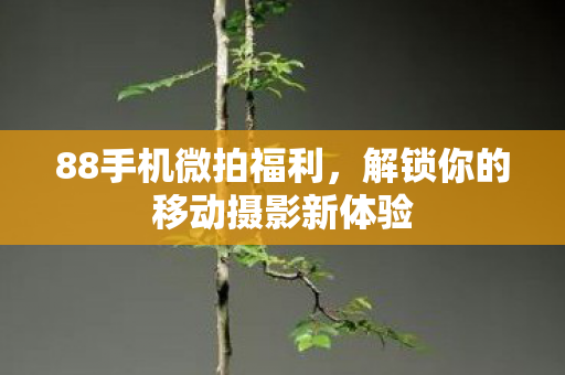 88手机微拍福利，解锁你的移动摄影新体验