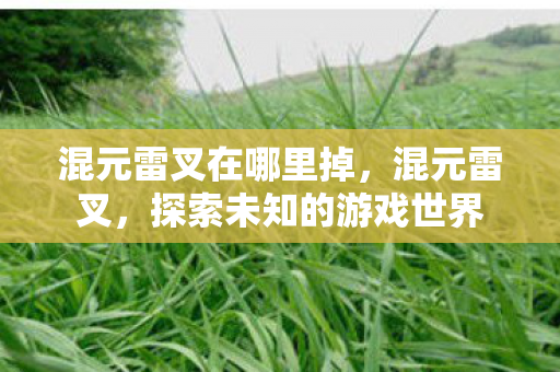 混元雷叉在哪里掉，混元雷叉，探索未知的游戏世界