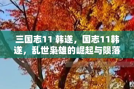 三国志11 韩遂，国志11韩遂，乱世枭雄的崛起与陨落