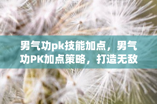 男气功pk技能加点，男气功PK加点策略，打造无敌连招，称霸PK场