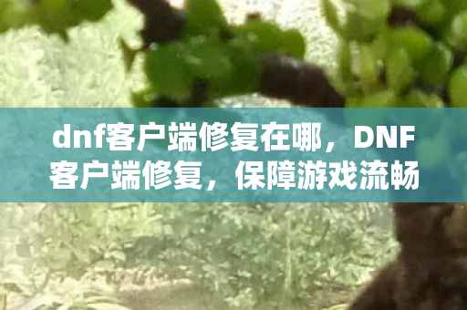 dnf客户端修复在哪，DNF客户端修复，保障游戏流畅，提升玩家体验