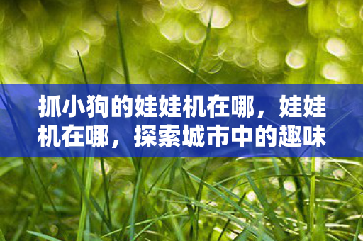 抓小狗的娃娃机在哪，娃娃机在哪，探索城市中的趣味角落