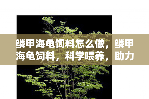 鳞甲海龟饲料怎么做，鳞甲海龟饲料，科学喂养，助力宠物健康成长