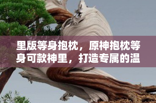 里版等身抱枕，原神抱枕等身可款神里，打造专属的温馨角落