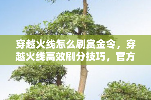 穿越火线怎么刷赏金令，穿越火线高效刷分技巧，官方授权下的策略与心得