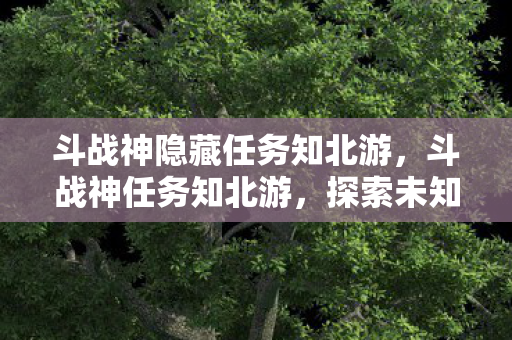 斗战神隐藏任务知北游，斗战神任务知北游，探索未知世界的奇妙旅程