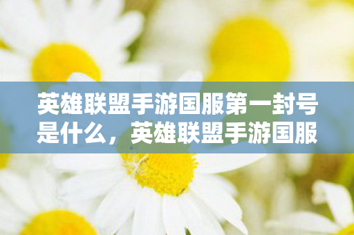 英雄联盟手游国服第一封号是什么，英雄联盟手游国服第一封号，透视外挂的警示