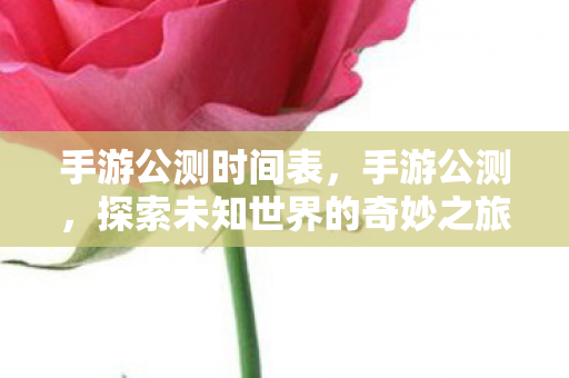 手游公测时间表，手游公测，探索未知世界的奇妙之旅