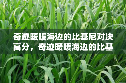 奇迹暖暖海边的比基尼对决高分，奇迹暖暖海边的比基尼对决，时尚与策略的完美碰撞