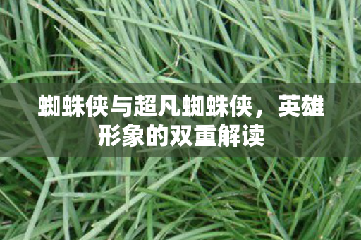 蜘蛛侠与超凡蜘蛛侠，英雄形象的双重解读