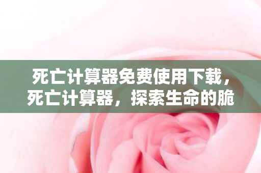 死亡计算器免费使用下载，死亡计算器，探索生命的脆弱与无常