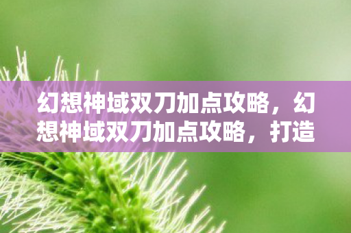 幻想神域双刀加点攻略，幻想神域双刀加点攻略，打造高效战斗力的关键