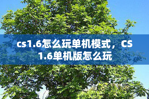 cs1.6怎么玩单机模式，CS1.6单机版怎么玩