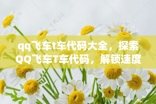 qq飞车t车代码大全，探索QQ飞车T车代码，解锁速度与激情的密钥