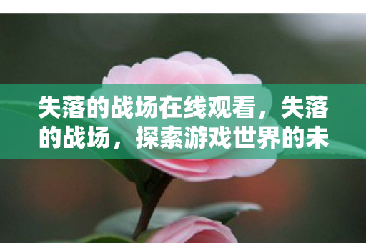 失落的战场在线观看，失落的战场，探索游戏世界的未知角落