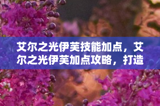 艾尔之光伊芙技能加点，艾尔之光伊芙加点攻略，打造最强输出角色