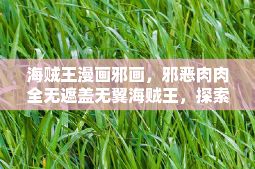 海贼王漫画邪画，邪恶肉肉全无遮盖无翼海贼王，探索未知海域的奇幻之旅