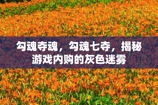 勾魂夺魂，勾魂七夺，揭秘游戏内购的灰色迷雾