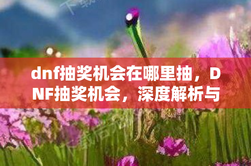 dnf抽奖机会在哪里抽，DNF抽奖机会，深度解析与策略指南