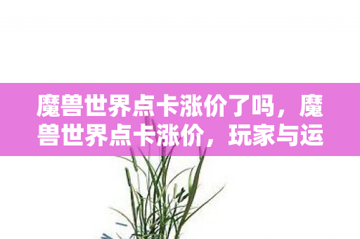 魔兽世界点卡涨价了吗，魔兽世界点卡涨价，玩家与运营商的博弈